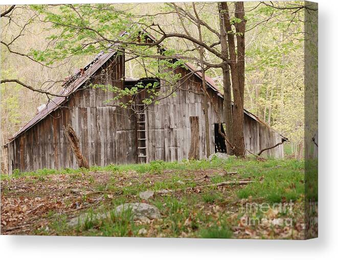 Pendleton County Canvas Print featuring the photograph Pendleton County Barn by Randy Bodkins