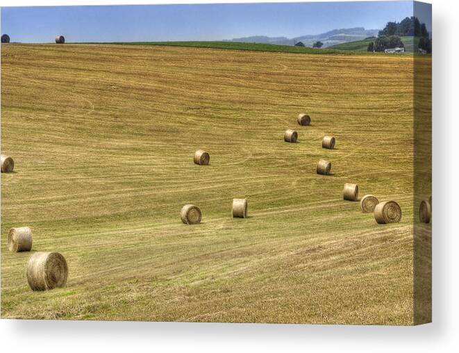 Pennsylvania Canvas Print featuring the photograph Pennsylvania Summer by Arthur Fix