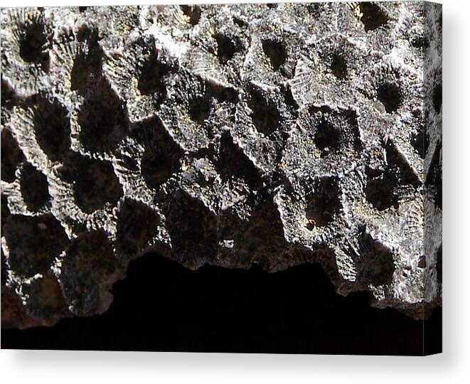 Petoskey Canvas Print featuring the photograph Petoskey Stone by Kathleen Luther