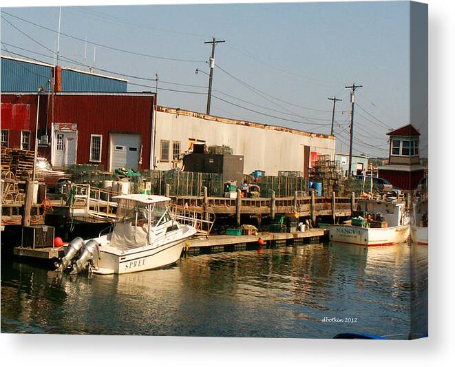 Water Canvas Print featuring the photograph Play and Work by Dick Botkin