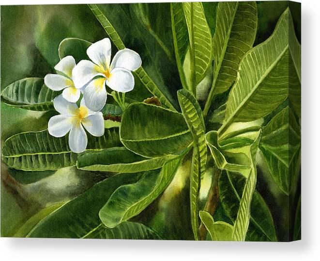 Fragipani Canvas Print featuring the painting Plumeria Leaves by Sharon Freeman