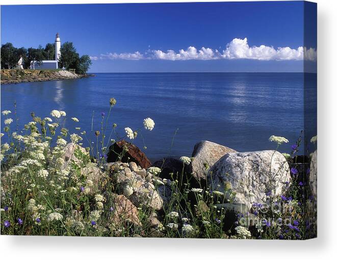 Pointe Canvas Print featuring the photograph Pointe aux Barques and Summer Wildflowers - FS000823 by Daniel Dempster