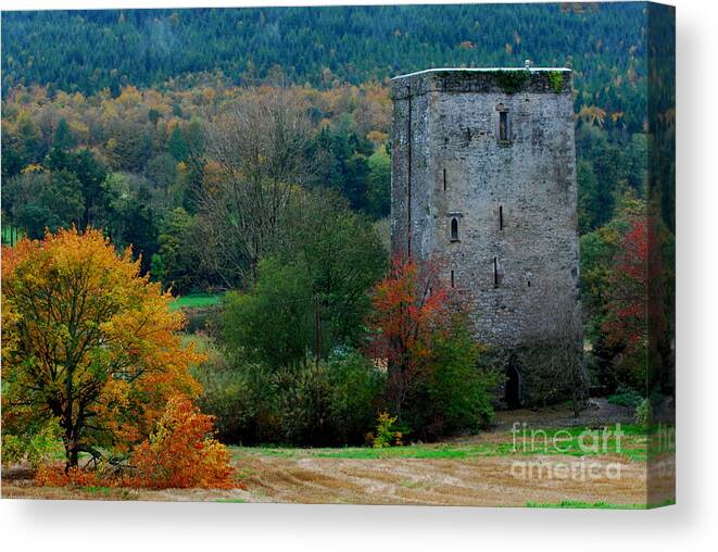 An Autumn Scene Of Poulakerry Castle On The Banks Of The River Suir At Poulakerry Canvas Print featuring the photograph Poulakerry Castle by Joe Cashin