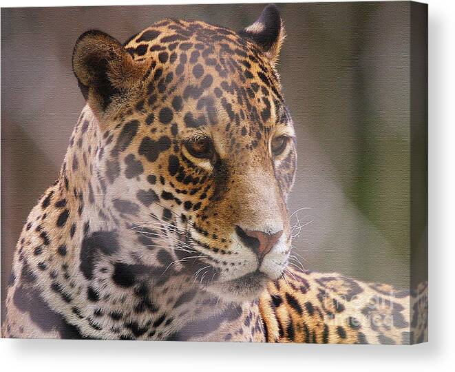 Leopards Canvas Print featuring the photograph Out Of Africa by Geoff Crego