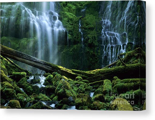 Proxy Falls Canvas Print featuring the photograph Proxy Falls by Bob Christopher