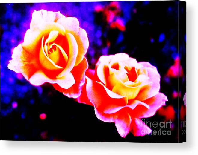 Psychedelic Roses Canvas Print featuring the photograph Psychedelic Roses by Martin Howard
