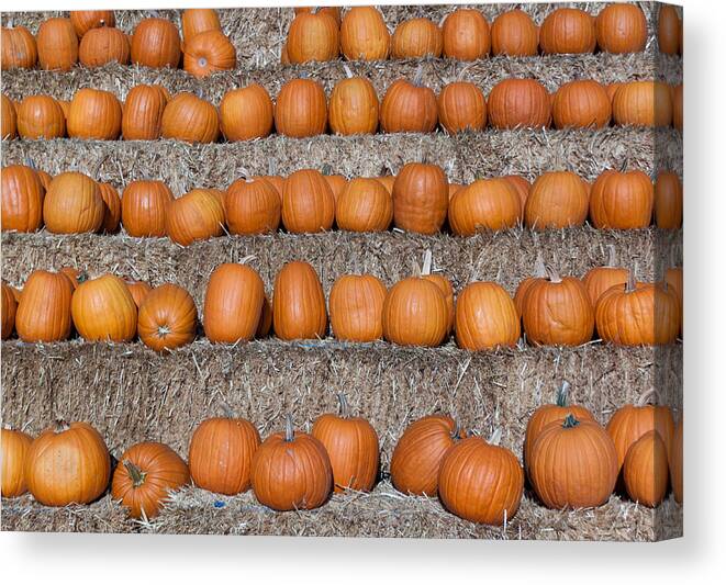 Fall Canvas Print featuring the photograph Pumpkin by Lora Lee Chapman