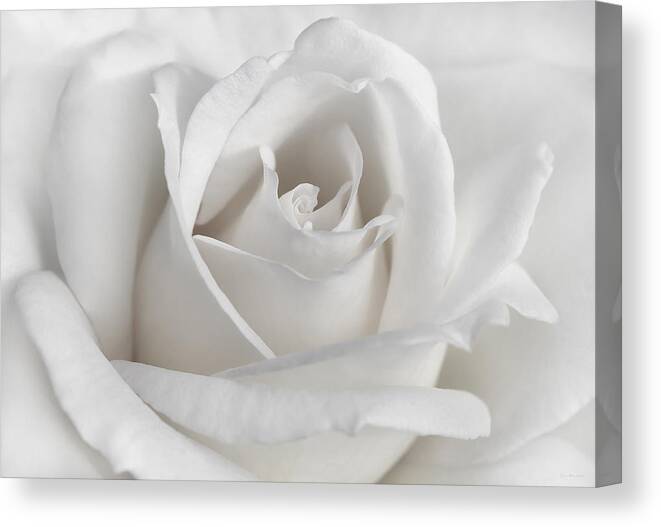 Art Flower Rose White Length 15 cm 