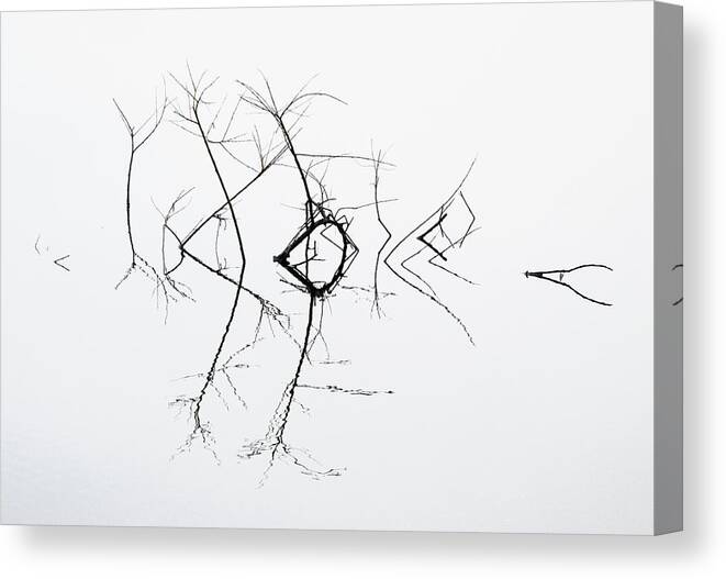 Refelections Canvas Print featuring the photograph Quivering by Bernie Delaney
