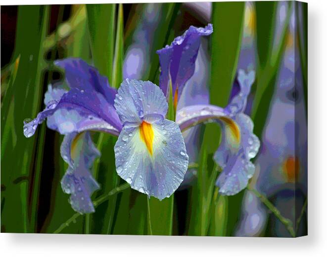 Photograph Canvas Print featuring the photograph Rainy Day Series - Purple Iris II by Suzanne Gaff