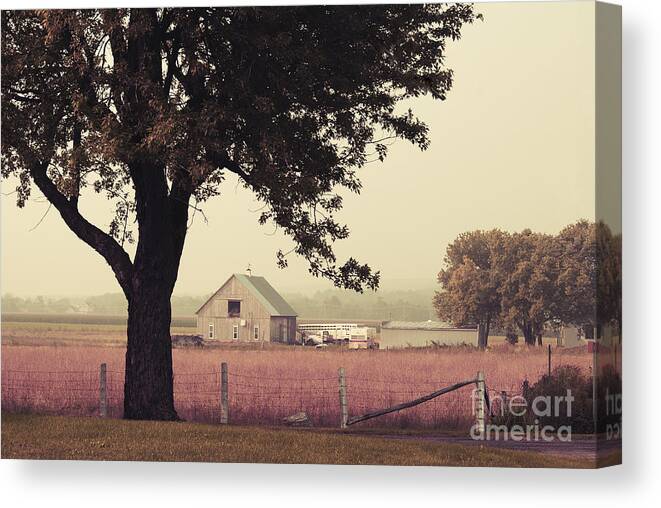 Autumn Canvas Print featuring the photograph Rawdon's Countrylife by Aimelle Ml