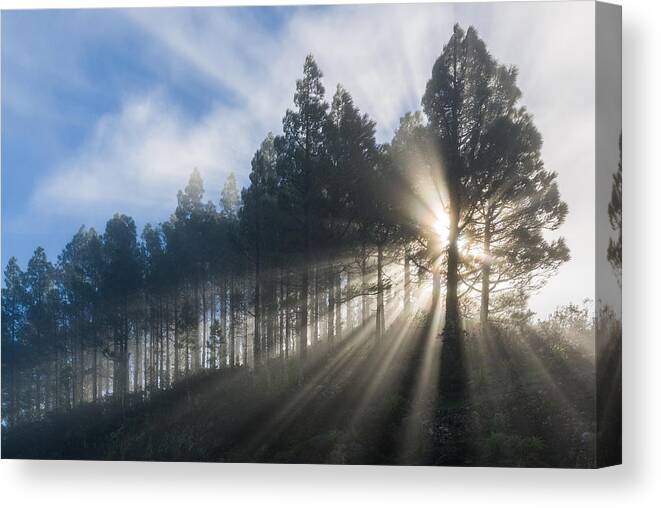 Canary Islands Canvas Print featuring the photograph Rays of sunlight by Johan Elzenga
