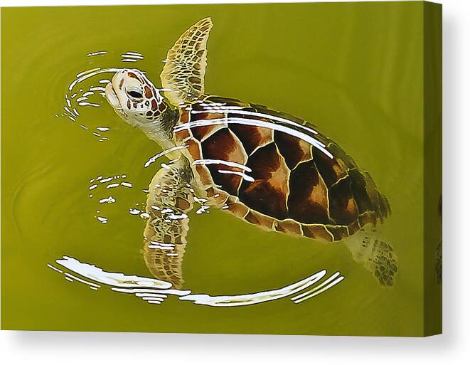 Endangered Canvas Print featuring the digital art Red Line by Ray Shiu