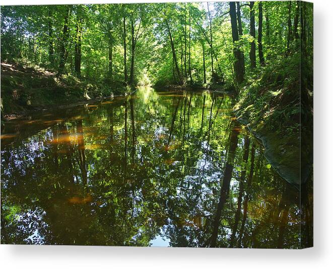 Skillet Creek Canvas Print featuring the photograph Reflecting Waters by Leda Robertson