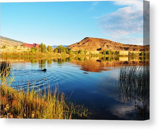 Black Labrador Retriever Canvas Print featuring the photograph Reflections and the Lab Ness Monster by Lisa Holland-Gillem