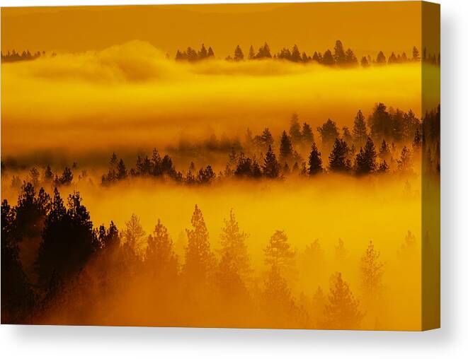 Fog Canvas Print featuring the photograph River Fog Rising by Ben Upham III
