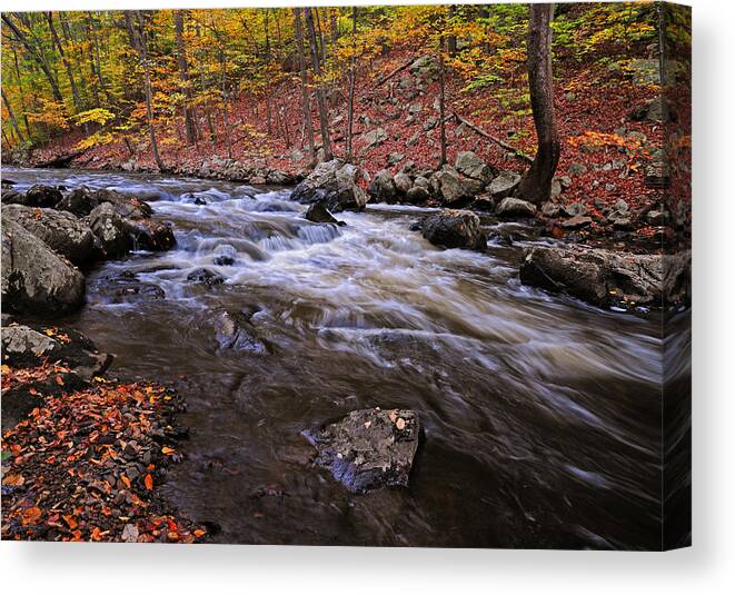 River Canvas Print featuring the photograph River of Color by Dave Mills