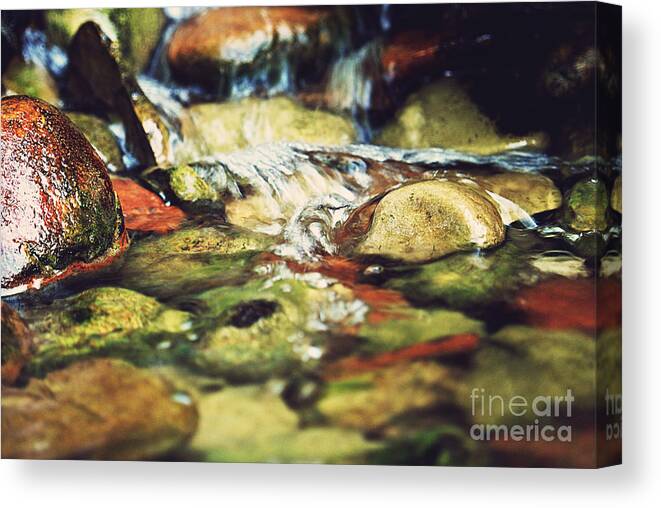 Pond Canvas Print featuring the photograph River of Rocks by Rachel Barrett