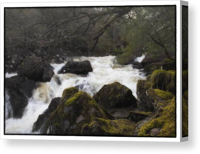 Ireland Canvas Print featuring the photograph River in County Kerry Ireland by Adele Buttolph