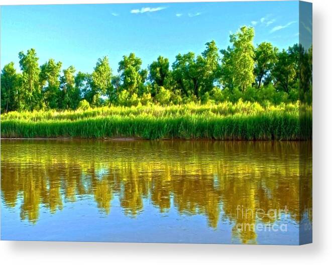 Rivers Canvas Print featuring the photograph River Reflections by Roselynne Broussard