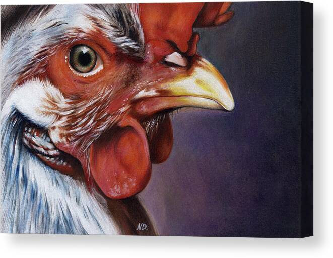 Rooster Canvas Print featuring the drawing Rooster by Natasha Denger