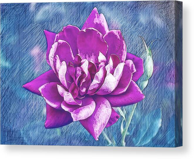 Rose Canvas Print featuring the photograph Rose Scratched Blues by Bill and Linda Tiepelman