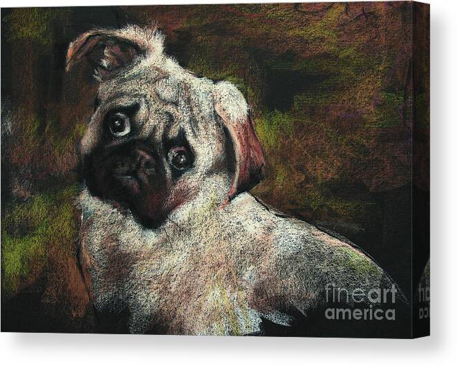 Pug Canvas Print featuring the drawing Roy the Magnificent by Shelley Schoenherr