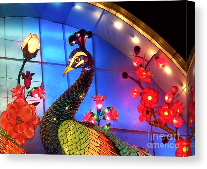 Chinese Lantern Festival Canvas Print featuring the photograph Royal Peacock by Cheryl McClure