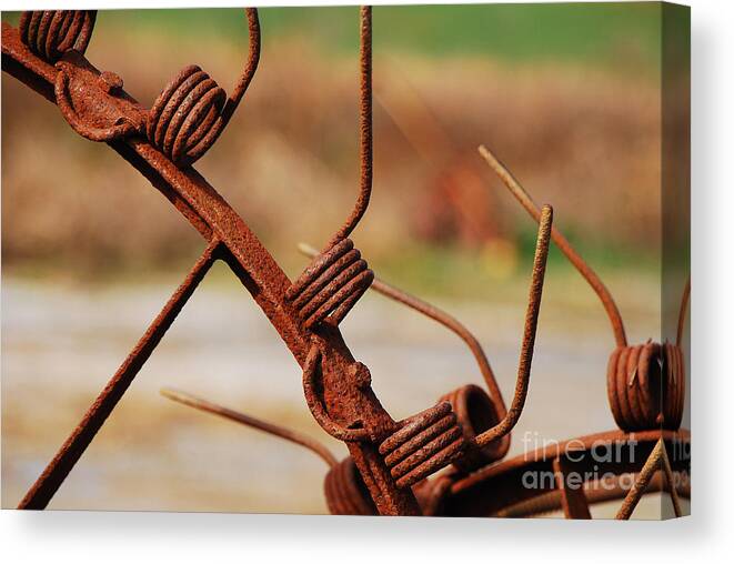 Rust Canvas Print featuring the photograph Rusty Tines by Mary Carol Story