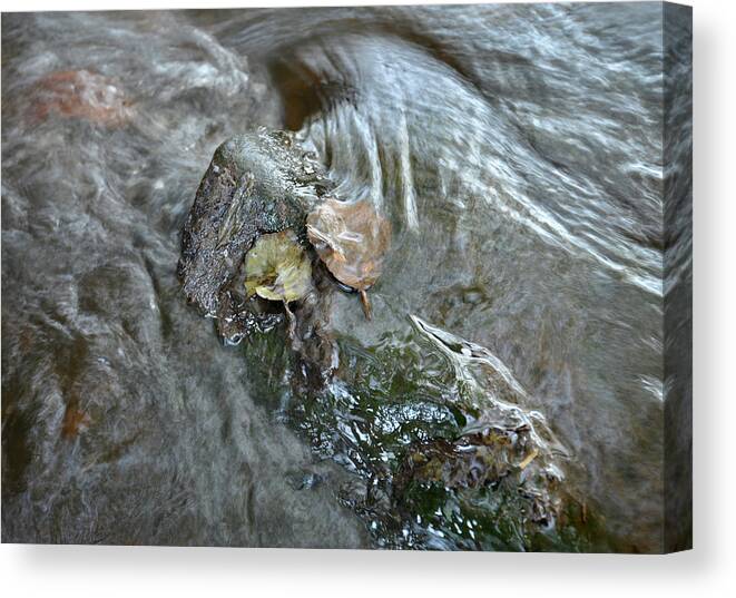 Water Canvas Print featuring the photograph Rver Hipper detail by Jerry Daniel