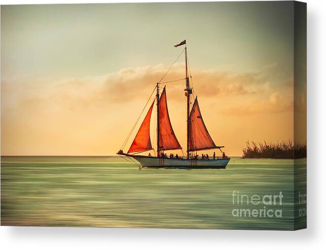 Sailing Canvas Print featuring the photograph Sailing Into The Sun by Hannes Cmarits