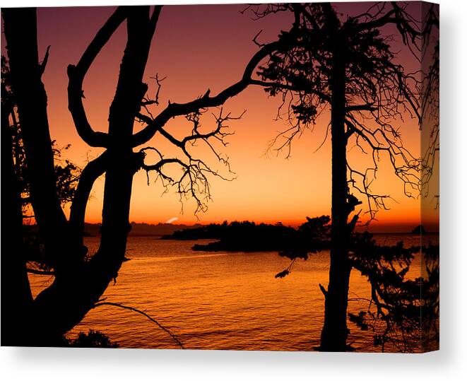 Sunrise Canvas Print featuring the photograph Salish Sunrise II by Randy Hall