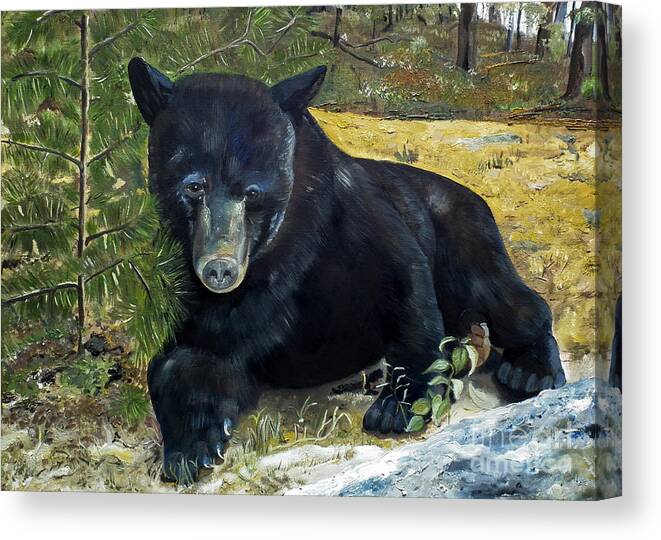 Black Bear Canvas Print featuring the painting Scruffy - Black Bear - unsigned by Jan Dappen