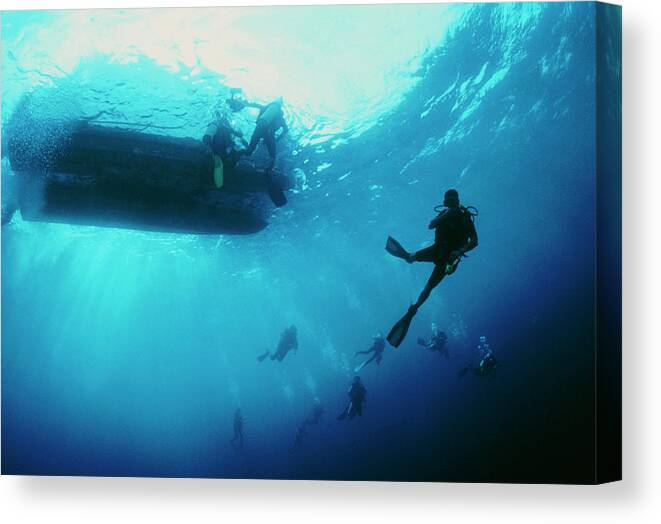 Underwater Canvas Print featuring the photograph Scuba Divers by Matthew Oldfield/science Photo Library