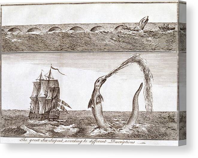 Sea Serpent Canvas Print featuring the photograph Sea Serpents by George Bernard/science Photo Library