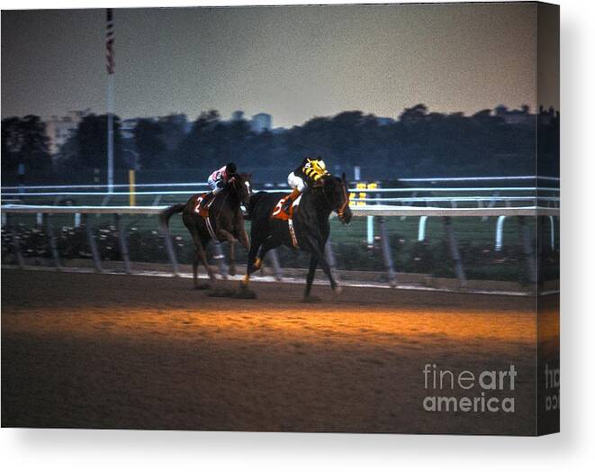 Seattle Slew And Affirmed Canvas Print featuring the photograph Seattle Slew and Affirmed by Marc Bittan