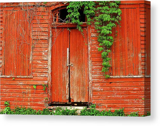 Fine Art Canvas Print featuring the photograph Secrets by Rodney Lee Williams