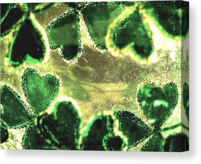 Shamrocks Canvas Print featuring the photograph Shamrocks And Gold by Angela Davies