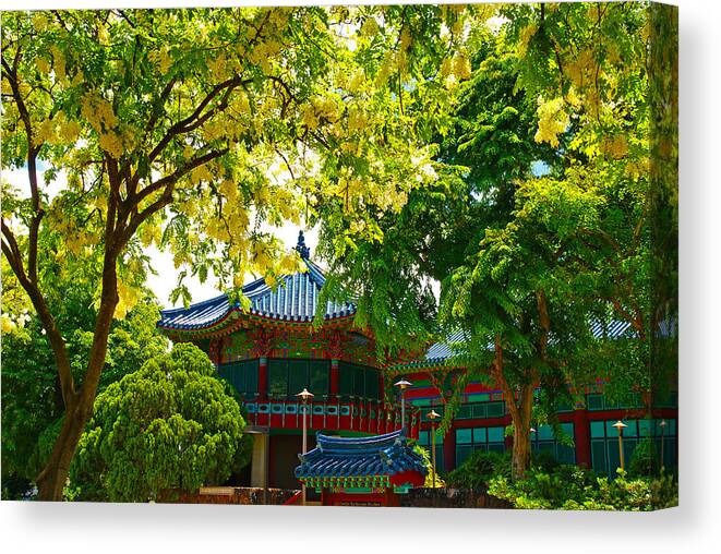 Shower Canvas Print featuring the photograph Shower Trees Manoa Valley by Kevin Smith