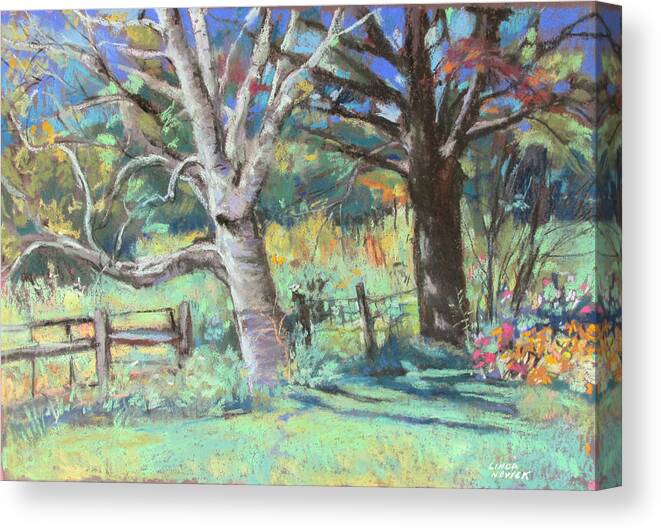 Trees Canvas Print featuring the painting Sister Trees by Linda Novick