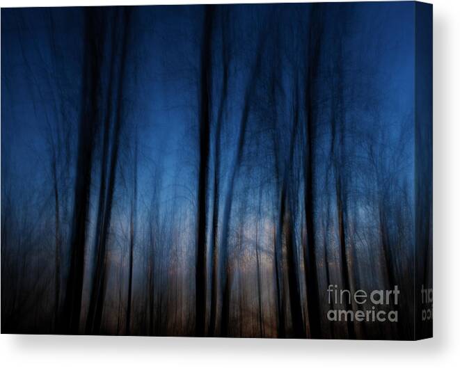 Festblues Canvas Print featuring the photograph Sleepwalking... by Nina Stavlund