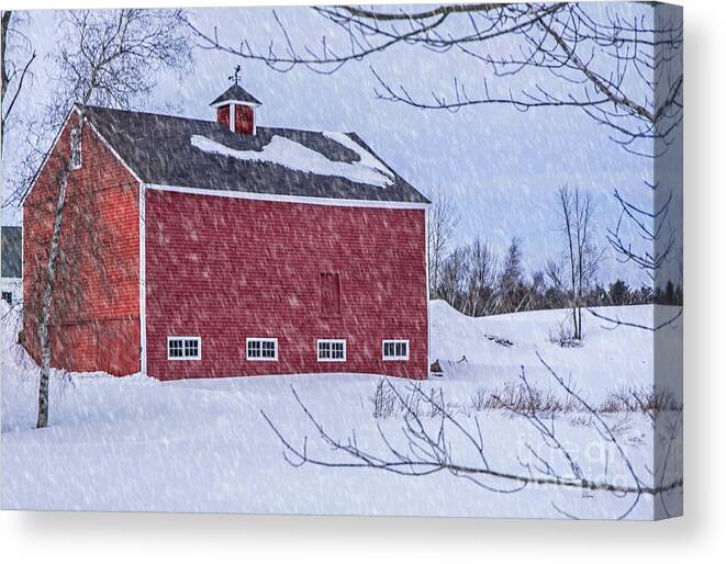 Maine Canvas Print featuring the photograph Snowy Red Barn by Alana Ranney