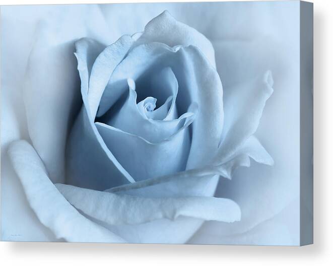 Rose Canvas Print featuring the photograph Softness of a Blue Rose Flower by Jennie Marie Schell