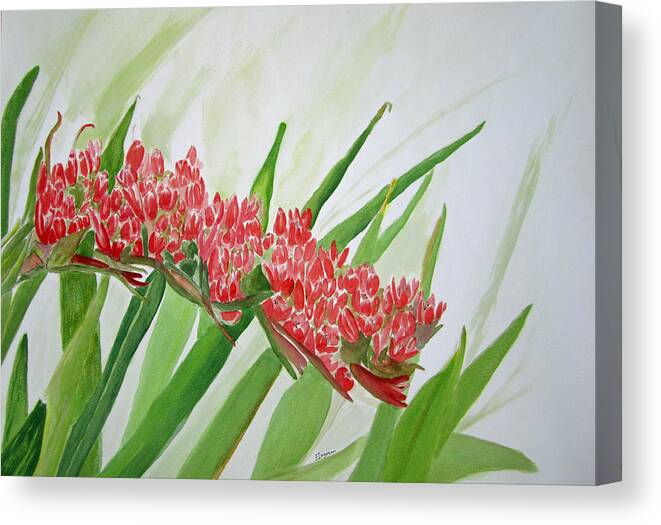 Floral Canvas Print featuring the painting Spear Lily by Elvira Ingram
