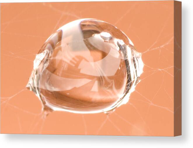 Web Canvas Print featuring the photograph Spider's Tear by Paul Johnson 