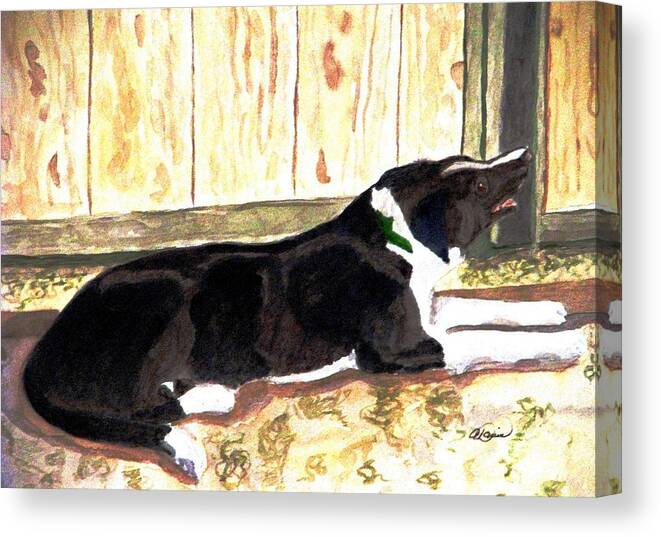 Border Collie Canvas Print featuring the painting Stable Duty by Angela Davies