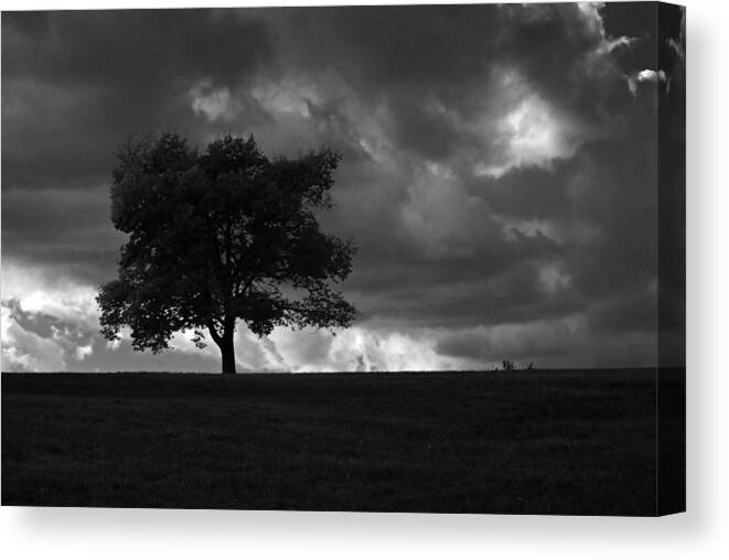 Landscape Canvas Print featuring the photograph Standing Alone by Lena Wilhite