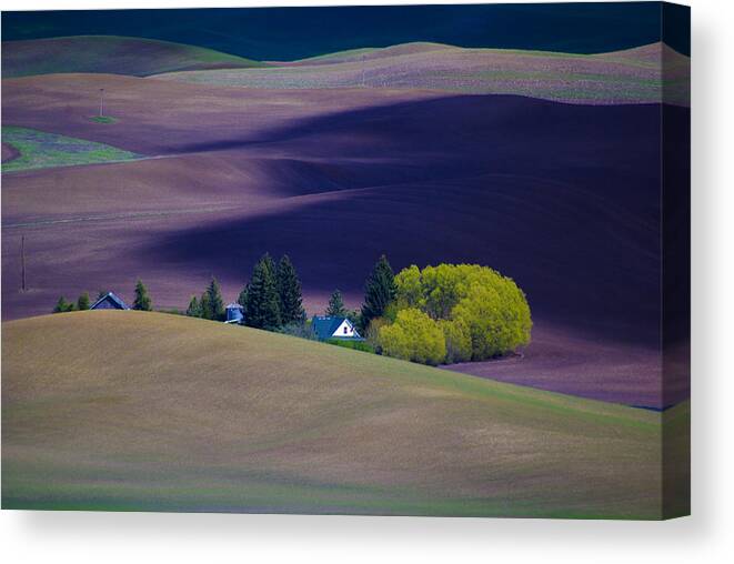 Eastern Washington Canvas Print featuring the photograph Steptoe View by Dale Stillman