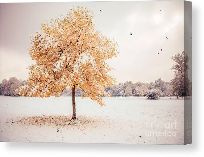 Autumn Canvas Print featuring the photograph Still Dressed In Fall by Hannes Cmarits