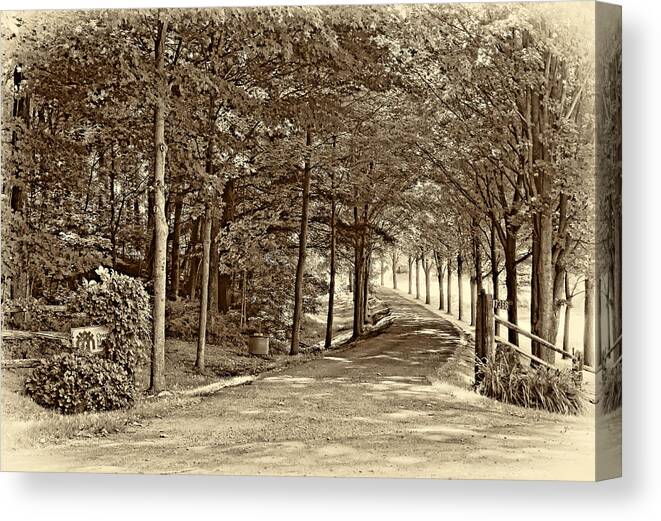Country Canvas Print featuring the photograph Summer Lane sepia by Steve Harrington